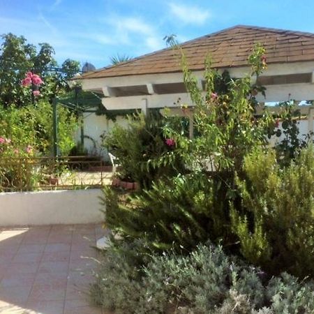 Appartement 3 Chambres Proche Mer Entre Palavas Les Flots Et Frontignan Plage Dans Maison Avec Jardin วิลนูฟ เลส์ มากูโลน ภายนอก รูปภาพ